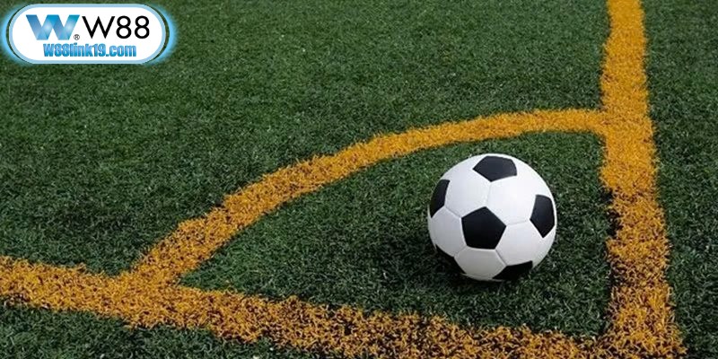Kinh nghiệm đắt giá giúp các anh em cược thủ nhanh chóng làm chủ cược